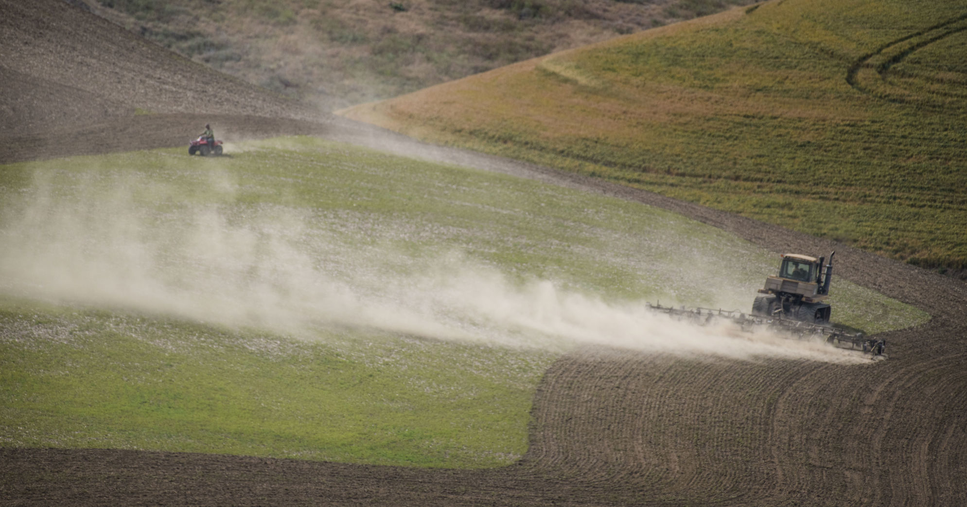 Big dust, little dust